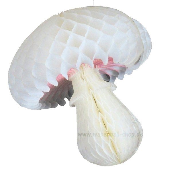 Wabenball-Pilz - Elfenbein-Weiß