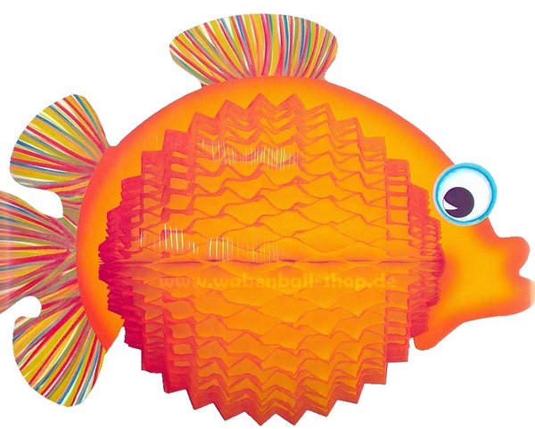 Oranger Balloonfisch