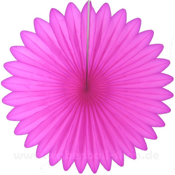 Partyrosette - Pink Orchidee