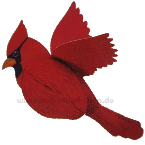 Vogel - Roter Kardinal